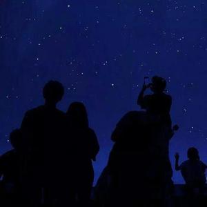 爱情岛永久地址www成人
