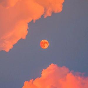 爱情岛永久地址www成人
