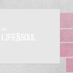 爱情岛永久地址www成人
