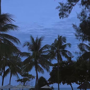 爱情岛永久地址www成人
